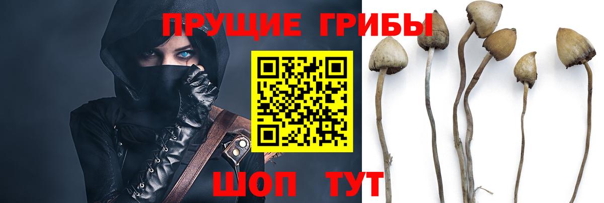 Галлюциногенные грибы мицелий Троицк